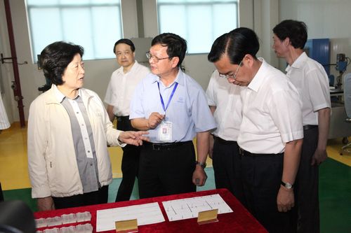 Fujian provincial leaders to visit the company to inspect the second phase of the project
